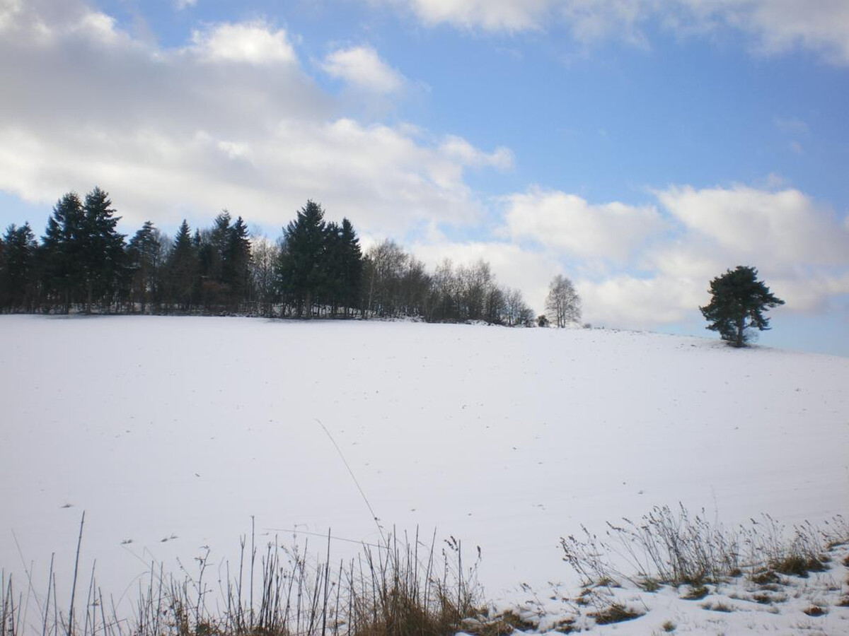 Gîte 3 épis Les Sapins - Terrasse sud, terrain clos, 4 pers. - Photo 20