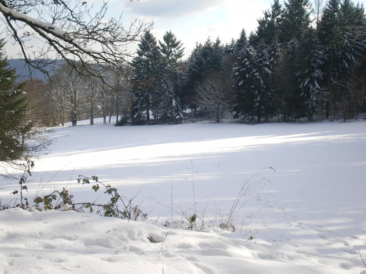Gîte 3 épis Les Sapins - Terrasse sud, terrain clos, 4 pers. - Photo 21