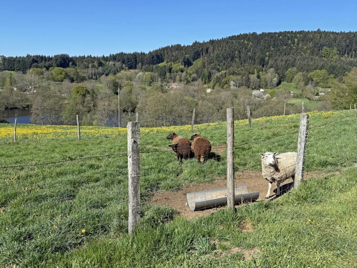 Gîte 4 pers aux Salles, terrain 200m² et accès randos directes - Photo 19