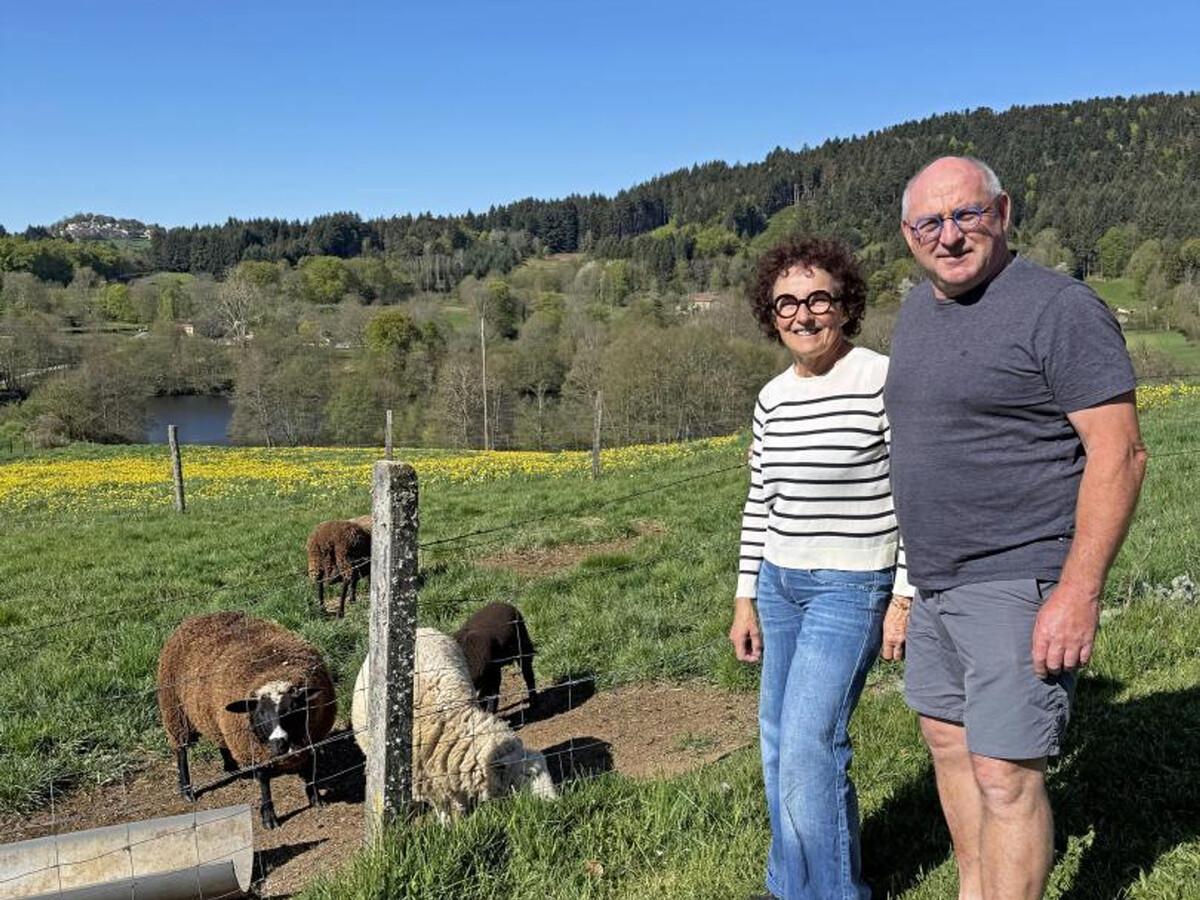 Gîte 4 pers aux Salles, terrain 200m² et accès randos directes - Photo 28