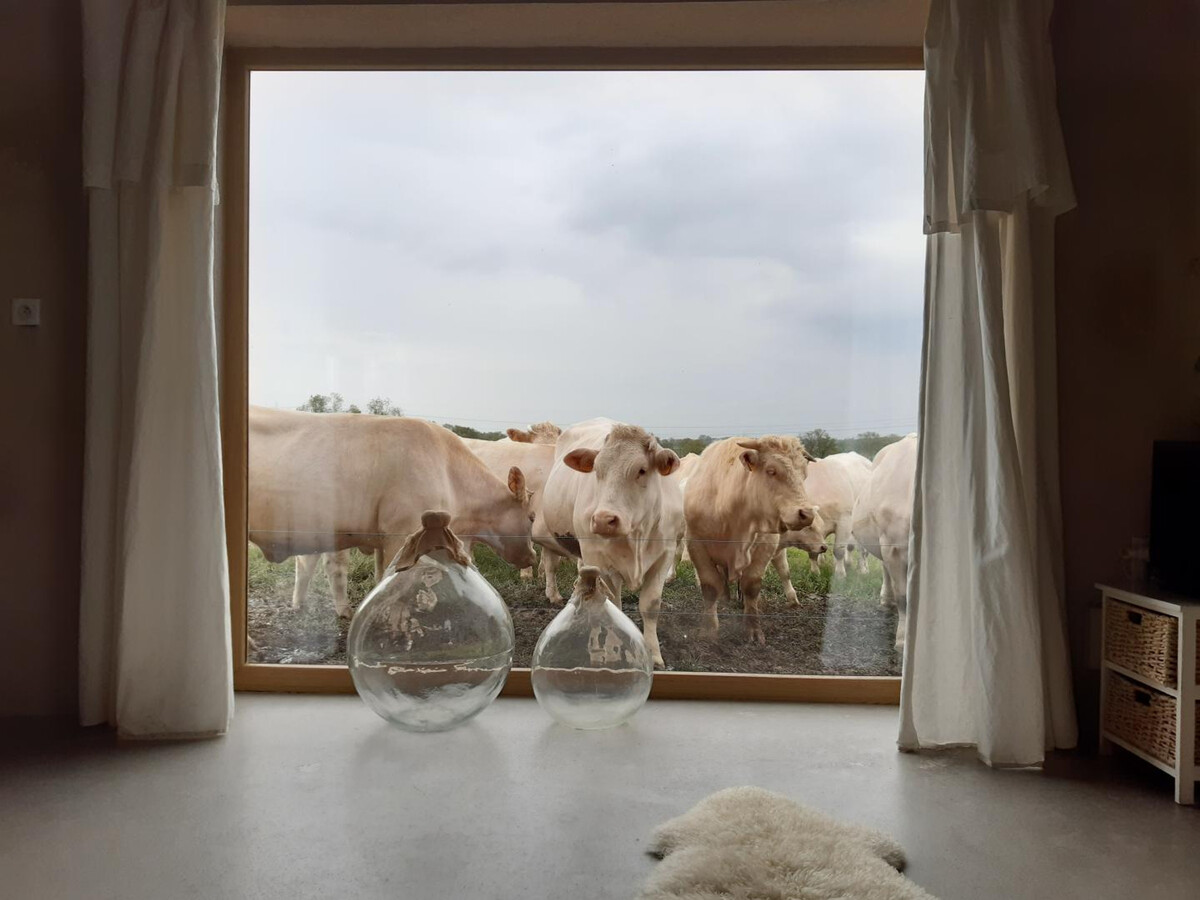 Gîte 14 pers. avec spa, piscine chauffée et étang - Photo 12