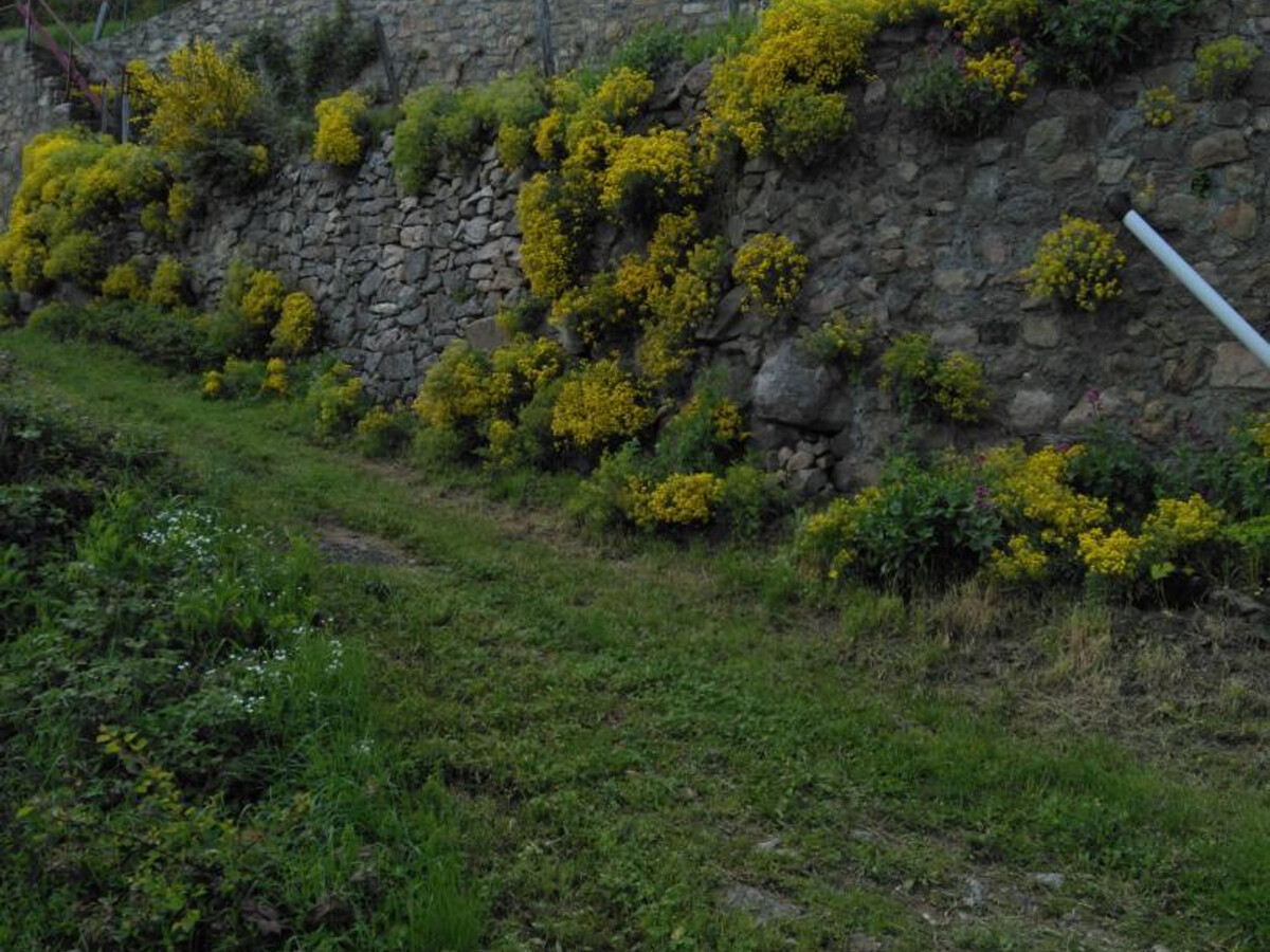 Gîte Les Airelles à Véranne, ferme XVIIe-XVIIIe siècles - Photo 16