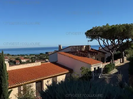 Villa 3 étoiles Collioure : piscine, terrasse, 1 km plage : photo 15
