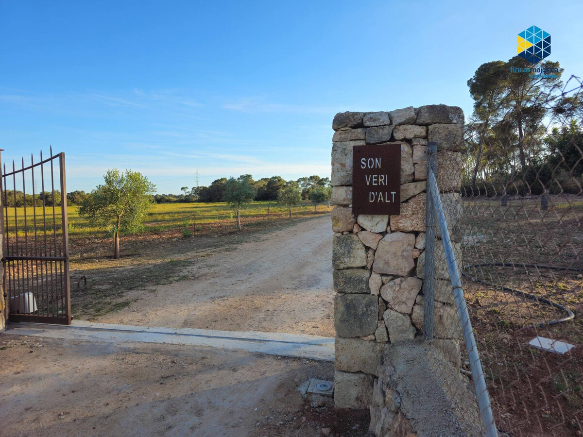Ferme de Charme à Llucmajor avec Piscine Privée - Photo 14
