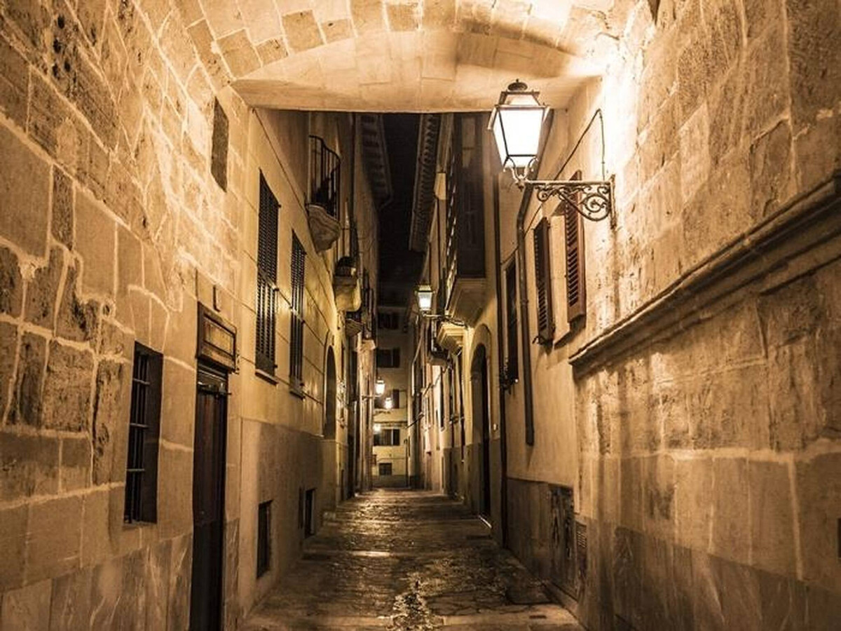 Maison 2 chambres avec jardin à Palma - Photo 29
