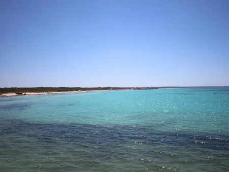 Maison de Vacances à Sa Rápita avec Jardin, Climatisation et Accès Proche à la Plage - Photo 28