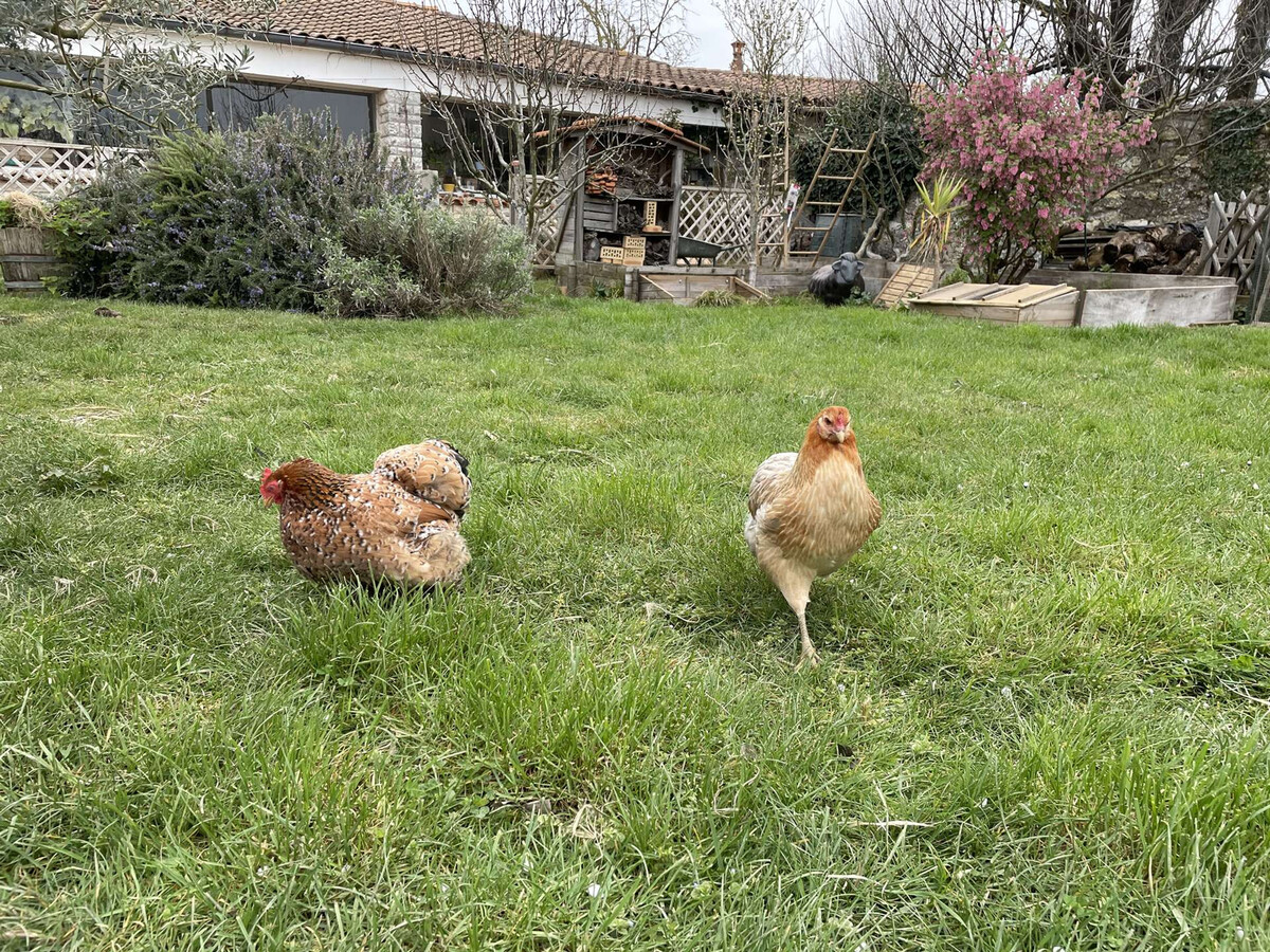 Ancien corps de ferme rénové, 4 couchages à Dompierre-sur-Mer - Photo 16