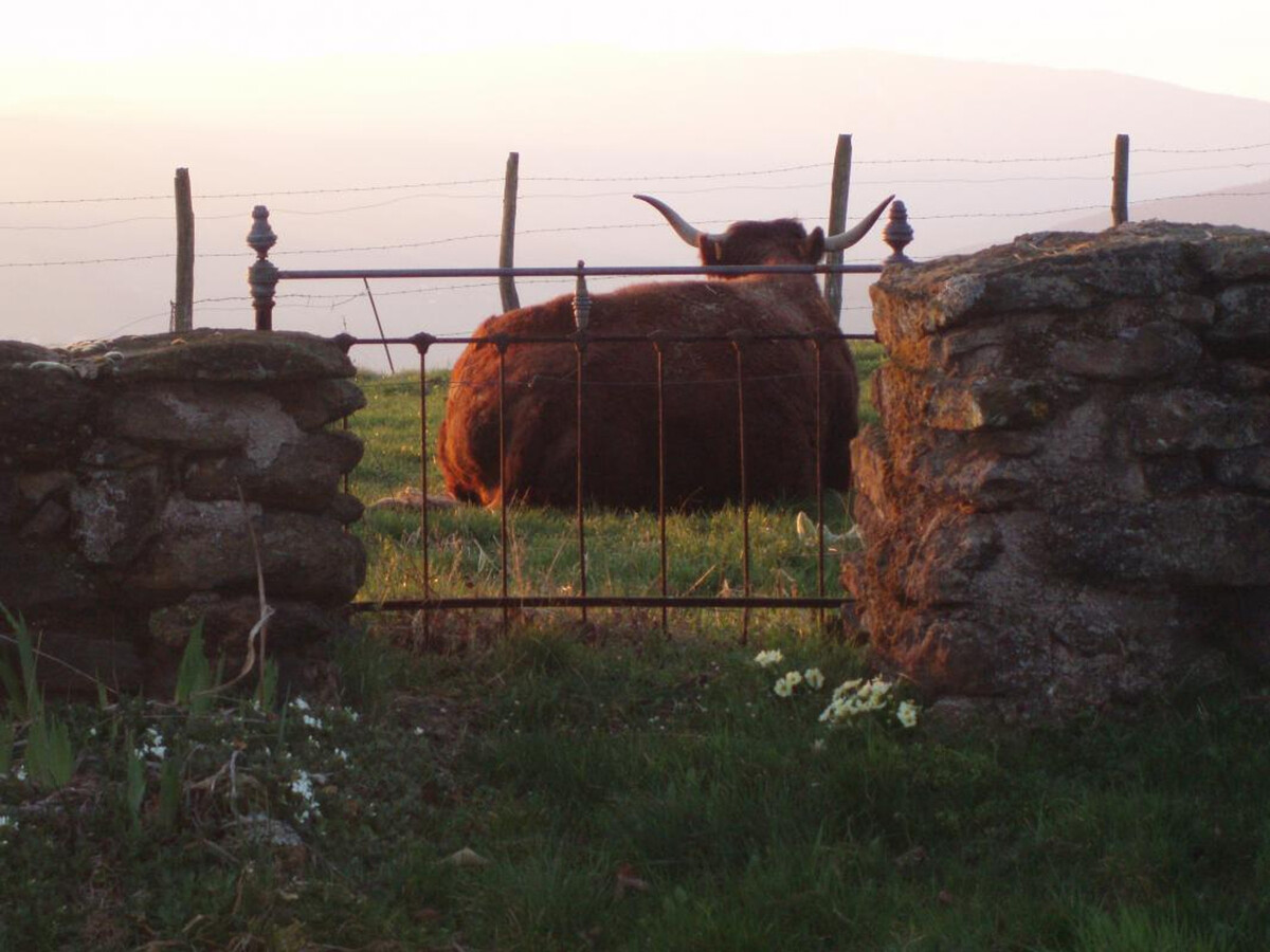 Gîte en ferme XIXe siècle aux portes des Monts du Pilat - Photo 18