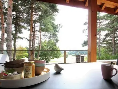 Lodge Mezenc 10 pers. : spa, piscine et aire de jeux : photo 17