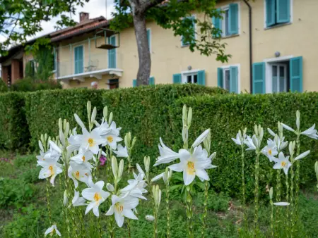 Del Terrazzo, Location Maison 2 personnes à Cortazzone - Photo 25