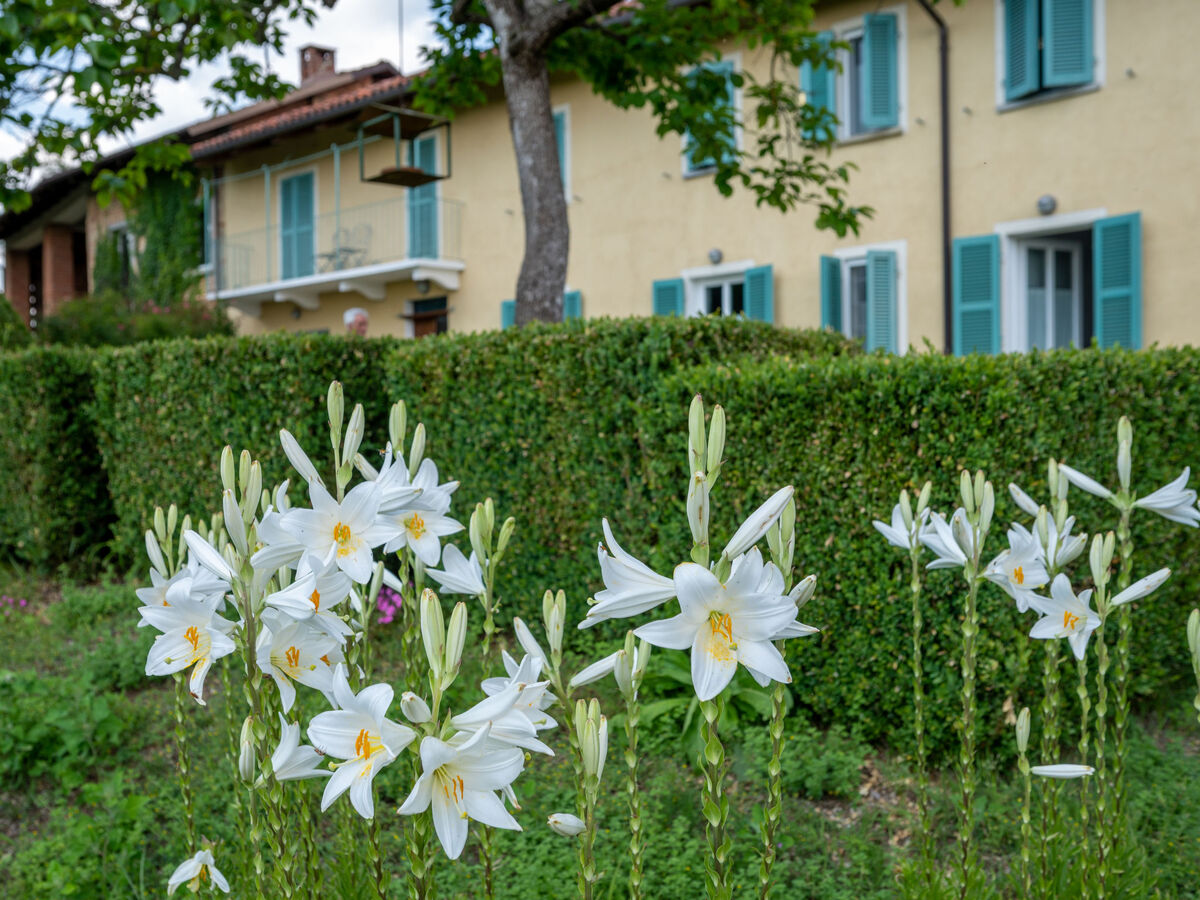 Le Cineserie – Maison rénovée 2021 à Cortazzone - Photo 20