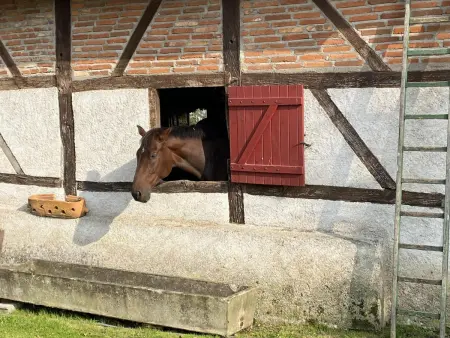 Gîte fermier avec piscine chauffée en Sologne Bourbonnaise : photo 13