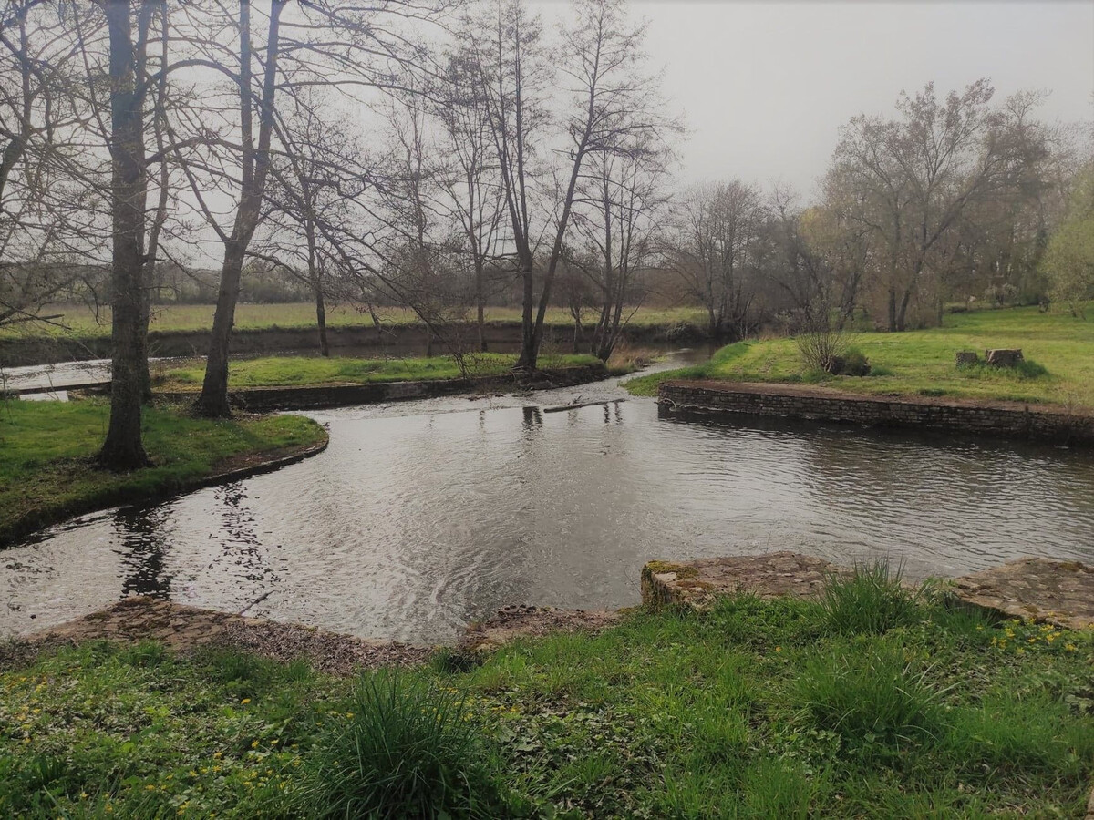 Gîte 6 pers. au moulin du 15e siècle, rivière et pêche - Photo 11