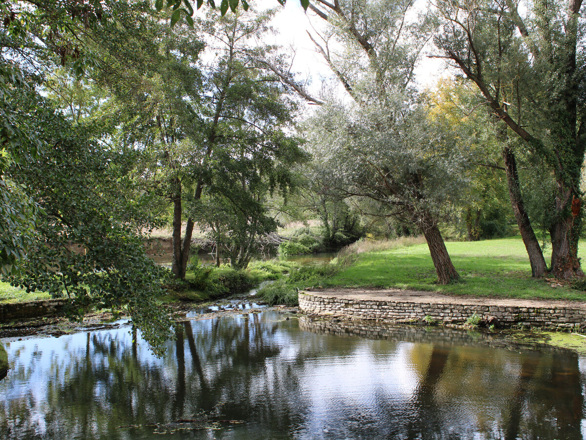Gîte 6 pers. au moulin du 15e siècle, rivière et pêche - Photo 15