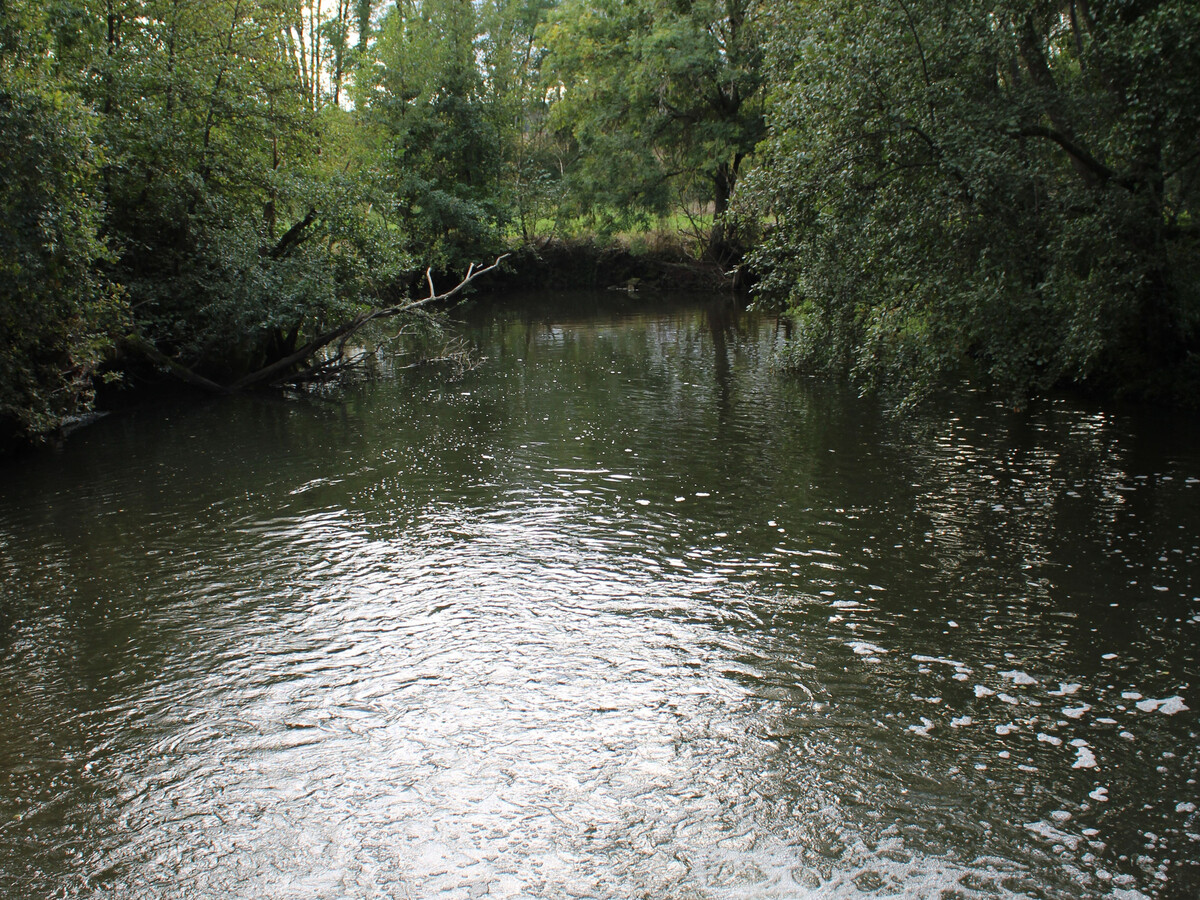 Gîte 6 pers. au moulin du 15e siècle, rivière et pêche - Photo 16