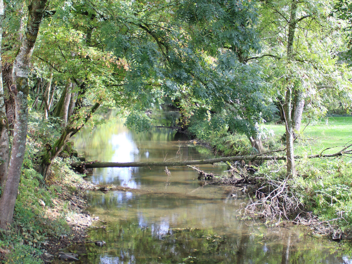 Gîte 6 pers. au moulin du 15e siècle, rivière et pêche - Photo 17