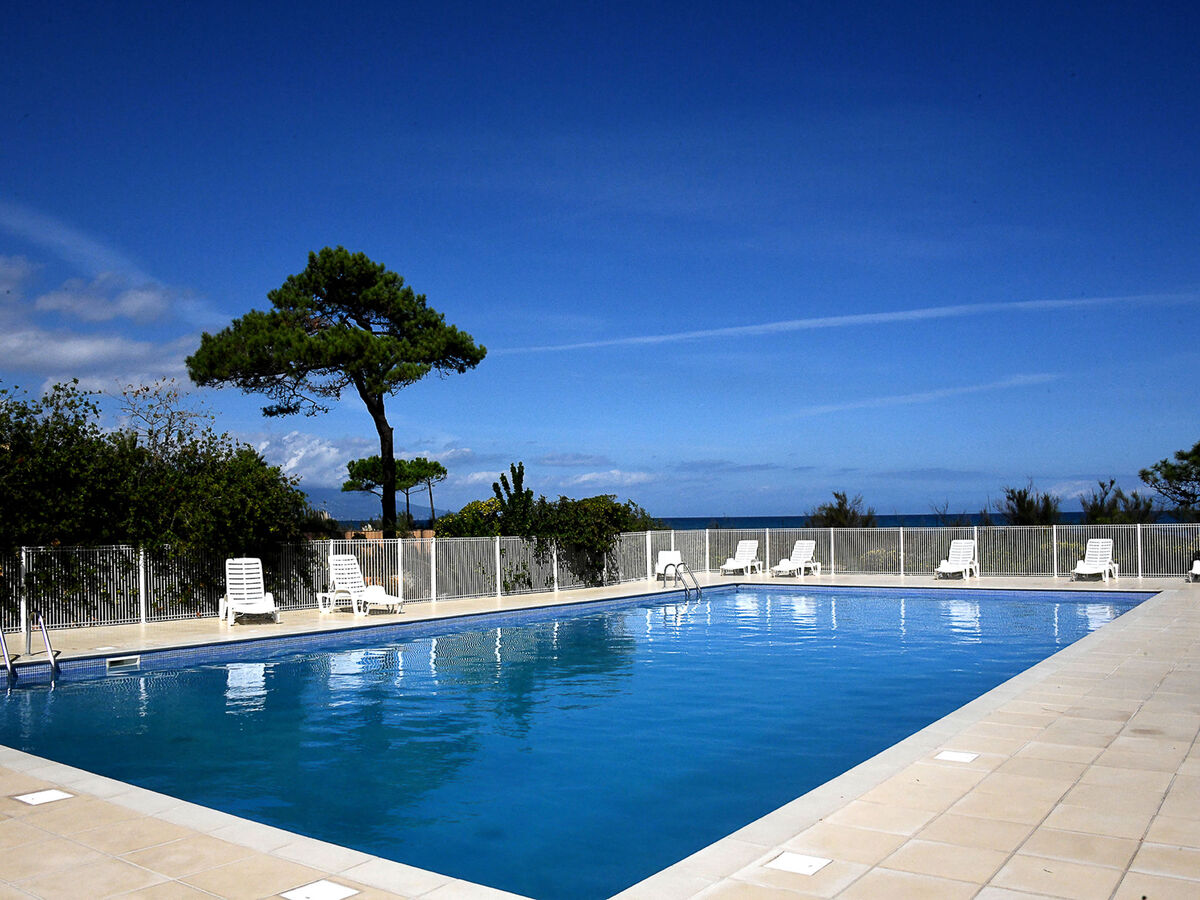 T2 Cabine 6 pers. à 50 m de la plage, La Marana - Photo 15
