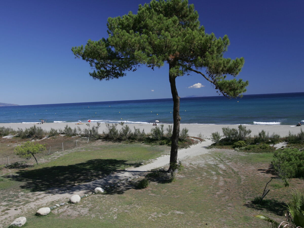 T3 Cabine à La Marana, 50 m de la plage - Photo 20