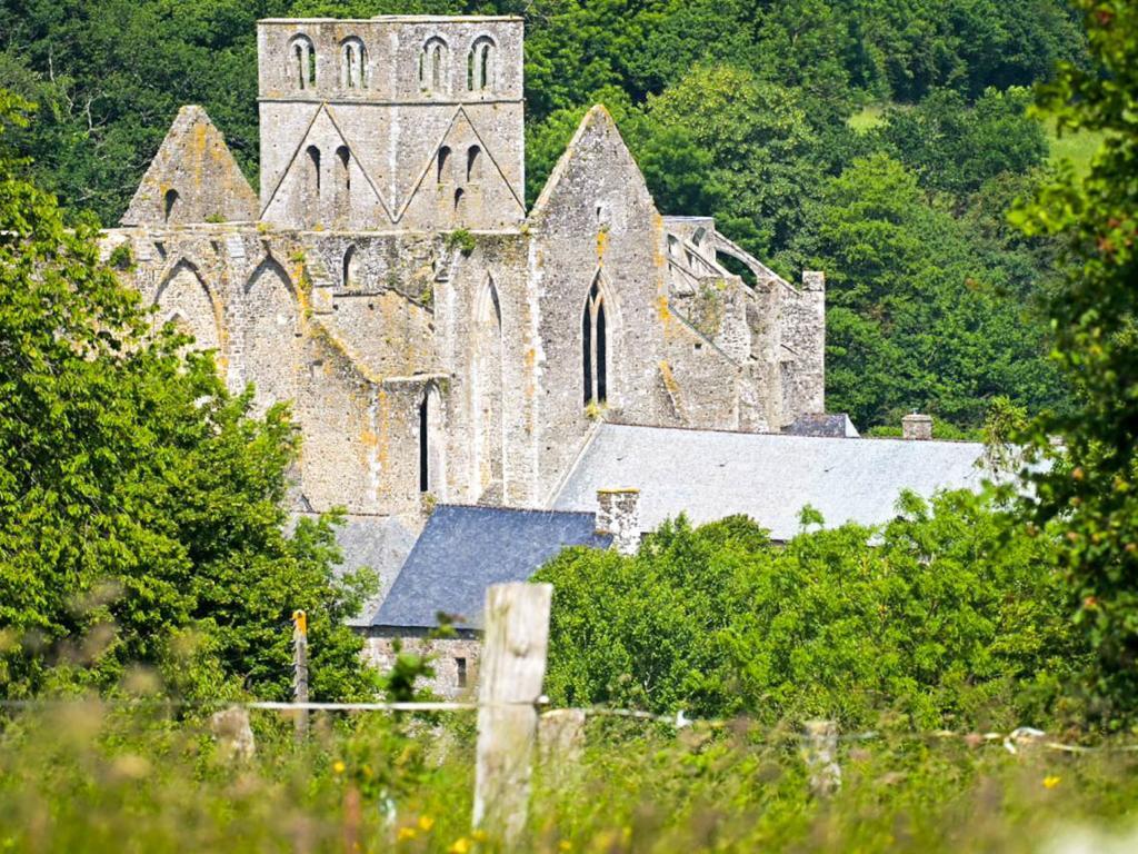 Gite Le Chevalier, Maison normande en pleine nature - Photo 7