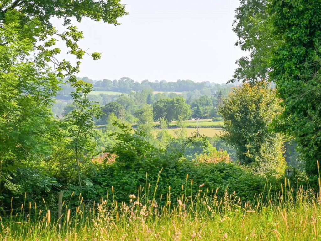 Gite Le Chevalier, Maison normande en pleine nature - Photo 9