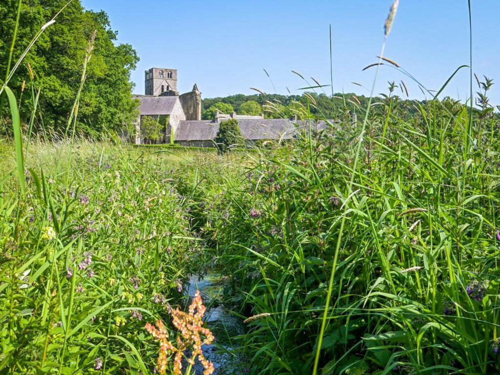 Gite Le Chevalier, Maison normande en pleine nature - Photo 10