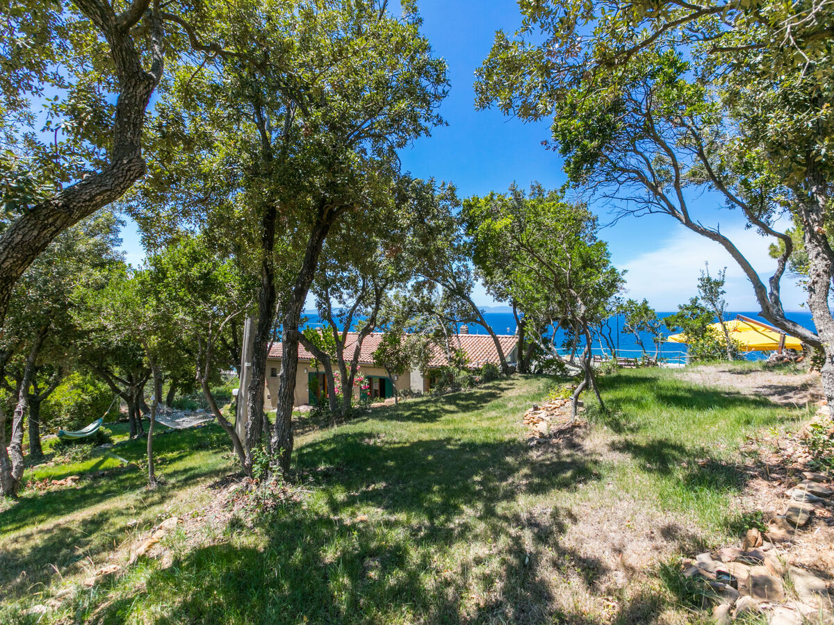 Villa Giuliana - 7 chambres face à la mer à Punta Ala - Photo 71