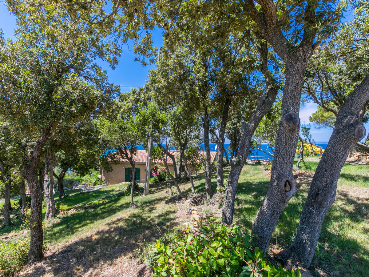 Villa Giuliana - 7 chambres face à la mer à Punta Ala - Photo 72