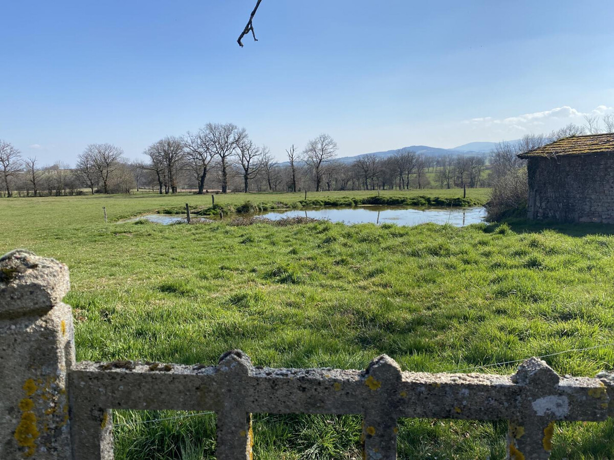Le Réal, gîte rural avec étangs et chevaux à Montaiguët - Photo 30