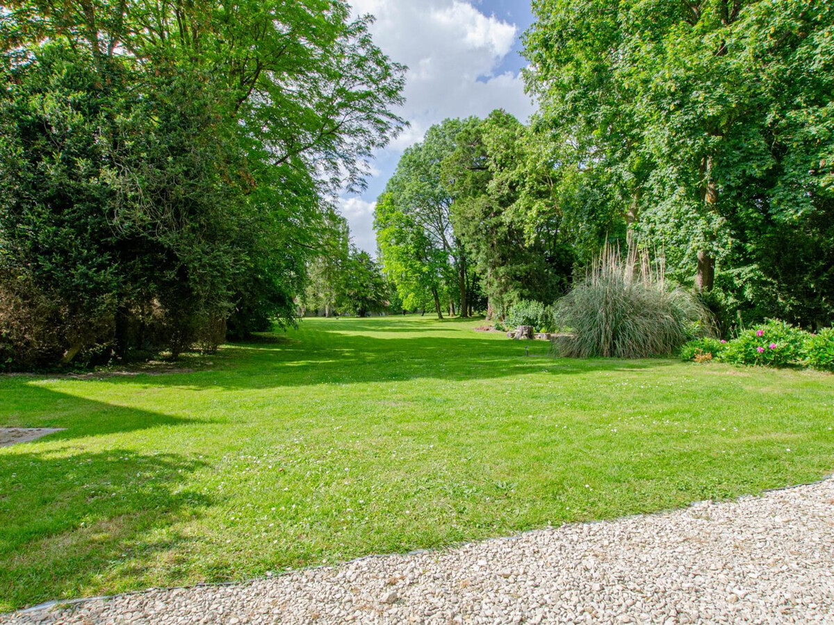 Gîte climatisé au cœur de la Forêt d'Orient - Photo 11