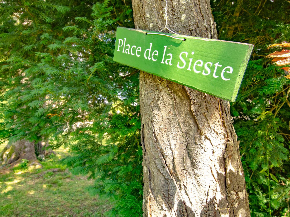 Gîte climatisé au cœur de la Forêt d'Orient - Photo 12