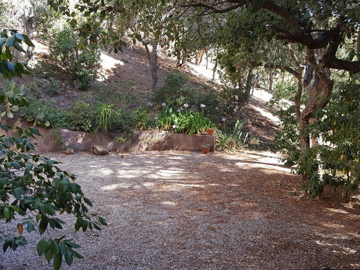 Mas 3 chambres à 1,5 km de la plage, piscine et tennis - Photo 3