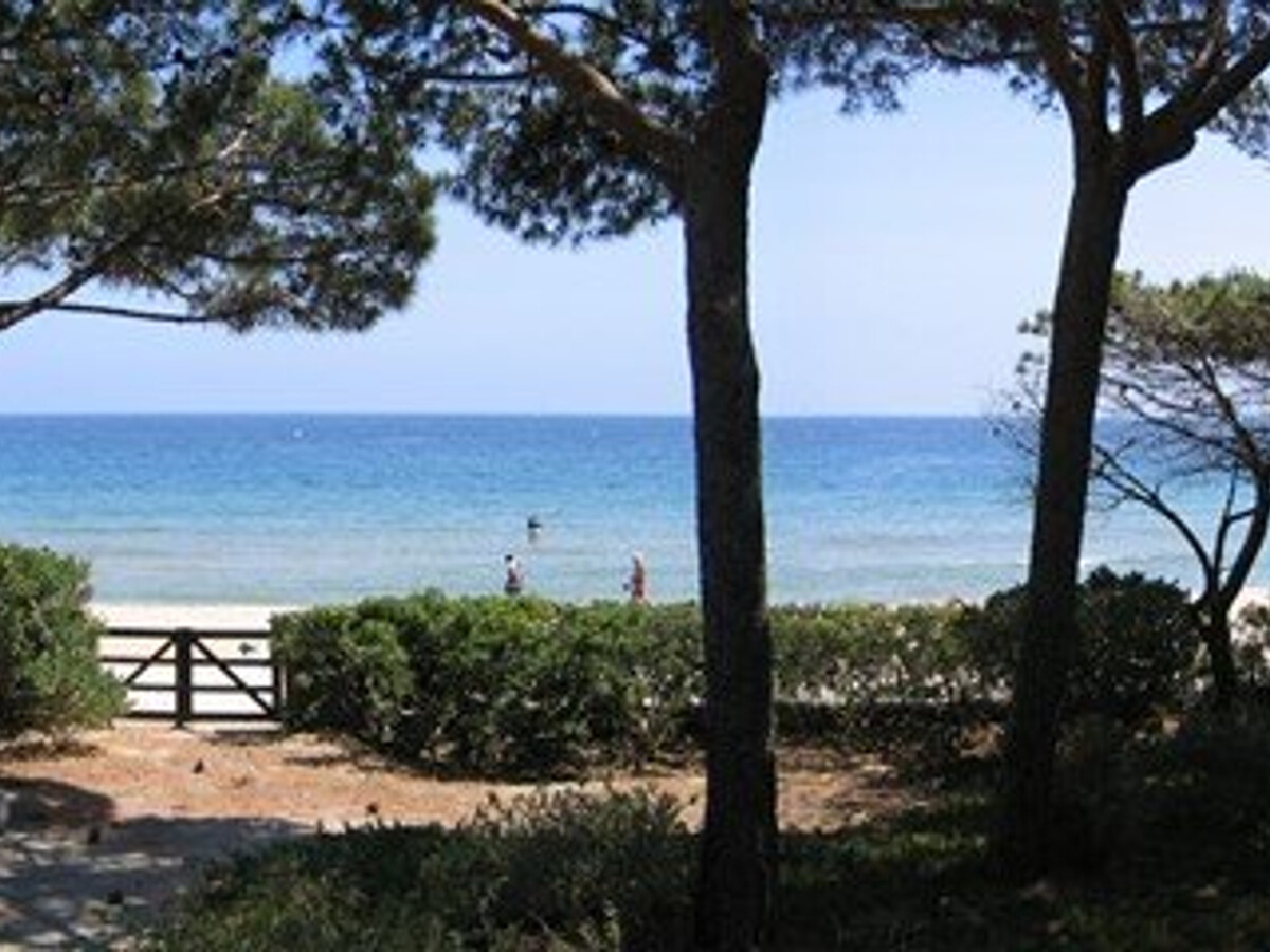 Villa 2 chambres climatisée, terrasse face à la mer à Cavalaire - Photo 2