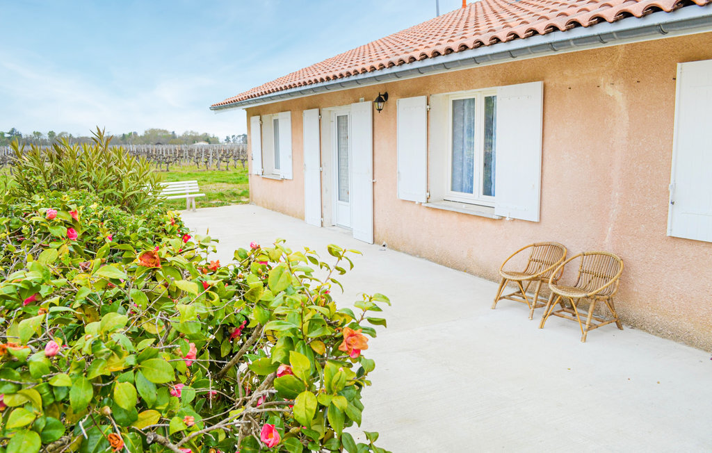 Maison vignobles Langon, terrasse spacieuse et jardin - Photo 2