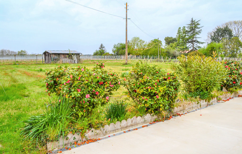 Maison vignobles Langon, terrasse spacieuse et jardin - Photo 11