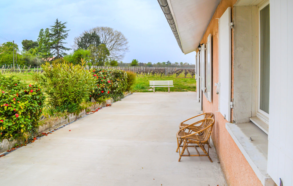 Maison vignobles Langon, terrasse spacieuse et jardin - Photo 12