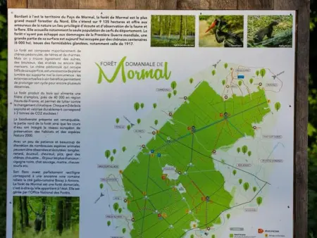 Gîte tout inclus 40m² en bordure forêt de Mormal : photo 31