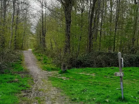 Gîte tout inclus 40m² en bordure forêt de Mormal : photo 32