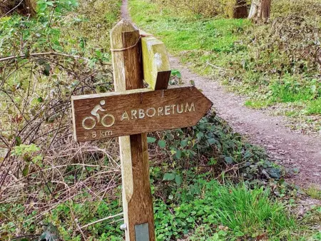Gîte tout inclus 40m² en bordure forêt de Mormal : photo 35