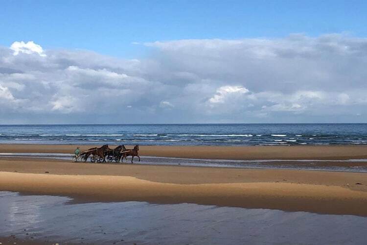 Guybernine Mer, maison 6 personnes à 100 m de la plage - Photo 26