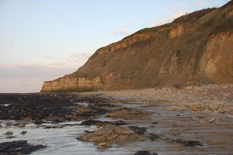 Maison Guybernine Bassin, 100 m de la plage - Photo 23