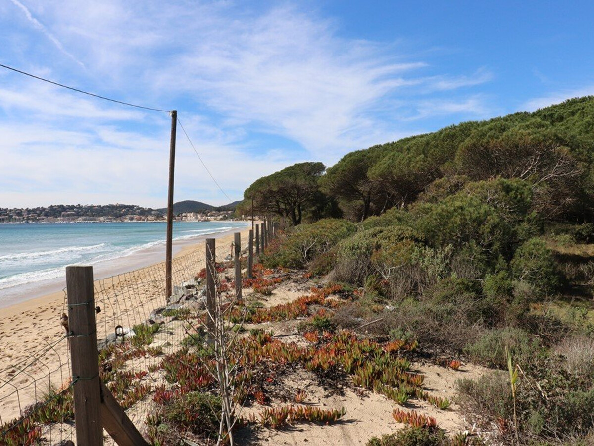 Villa 4 chambres en pinède, accès direct plage à Cavalaire - Photo 2