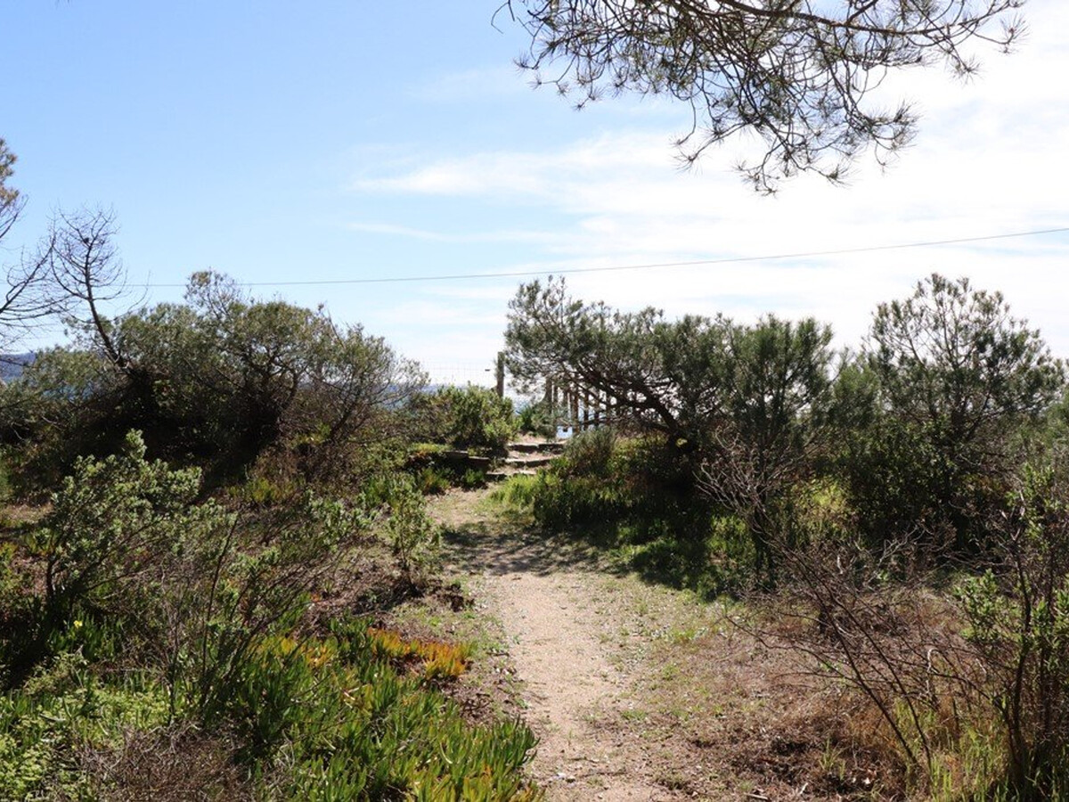 Villa 4 chambres en pinède, accès direct plage à Cavalaire - Photo 31