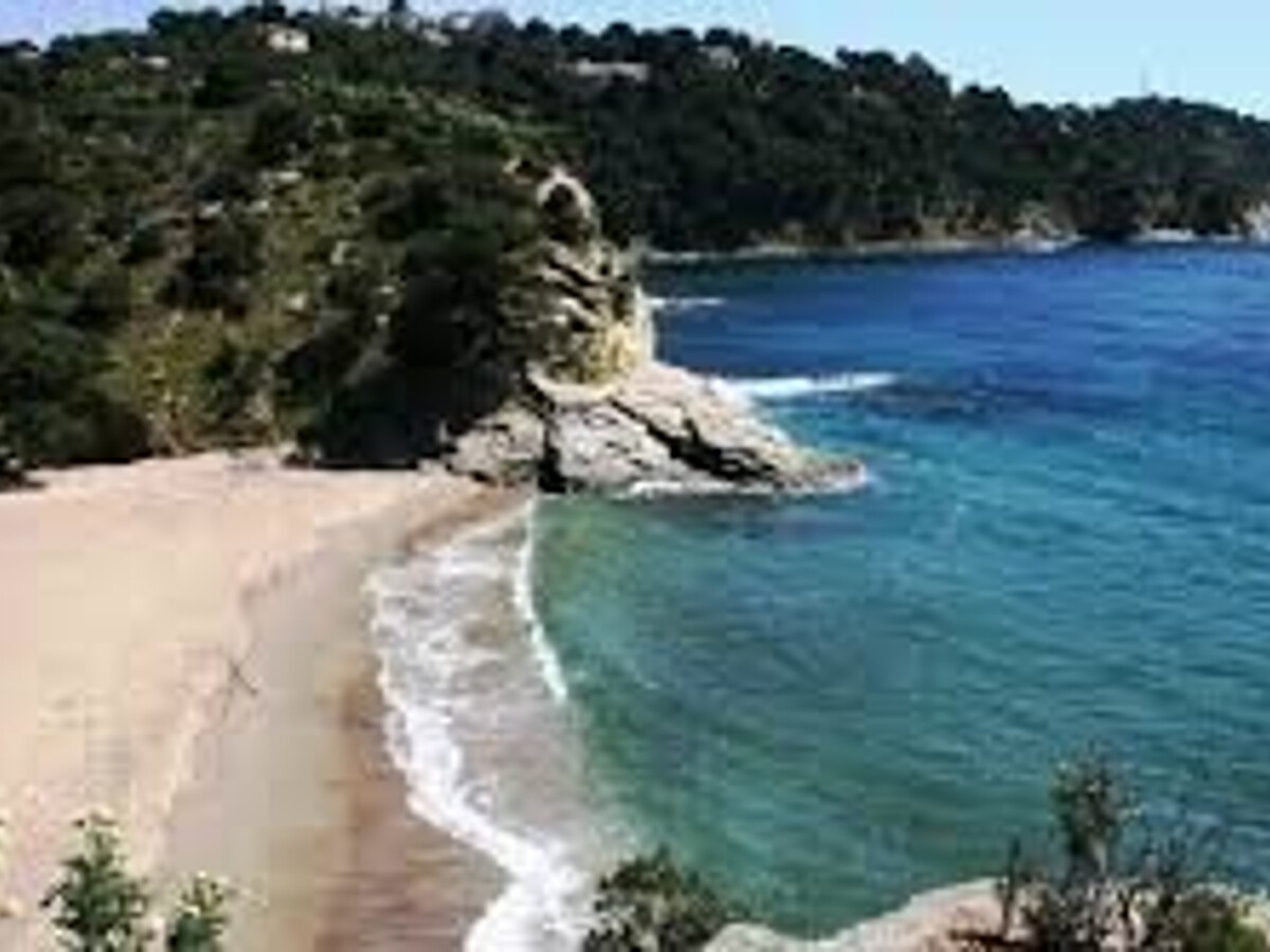 Villa 4 chambres en pinède, accès direct plage à Cavalaire - Photo 33