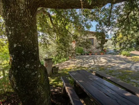 Fonte al Tesoro, Gite 6 personnes à Sassofortino - Photo 29