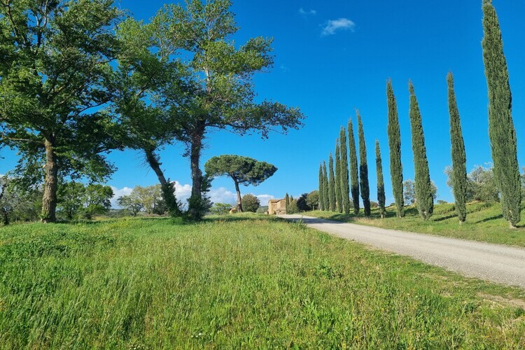Casanuova di Quercecchio – Maison 10 pers. à Montalcino - Photo 32