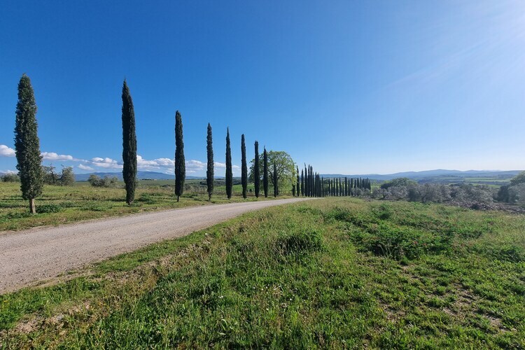 Casanuova di Quercecchio – Maison 10 pers. à Montalcino - Photo 33
