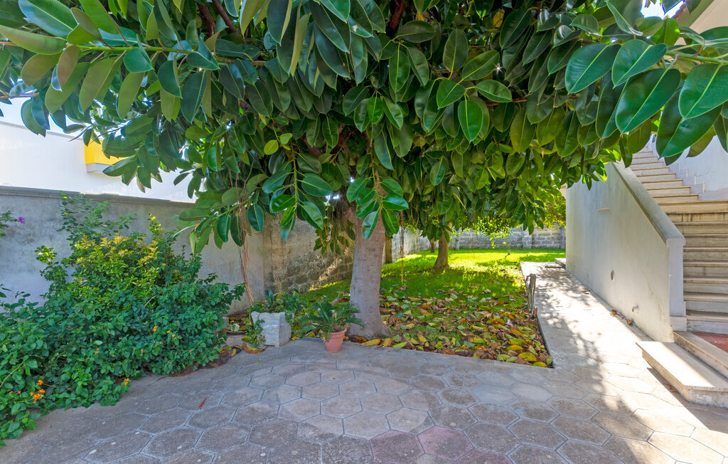 Maison 7 personnes près réserve WWF et plage, Torre Specchia - Photo 16