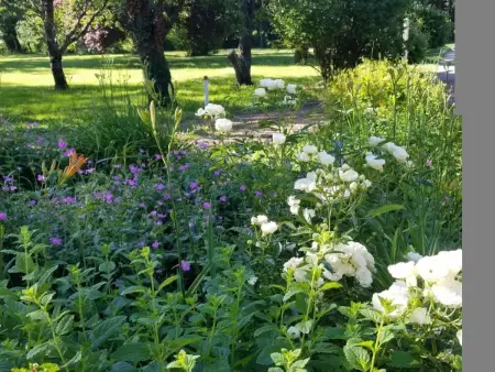 Ferme de charme avec jardin et cheminée à Gouise - Photo 24