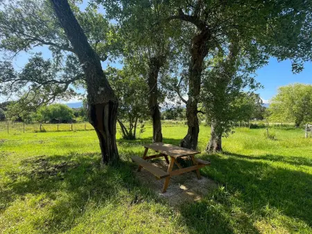 Location maison à Porto Vecchio