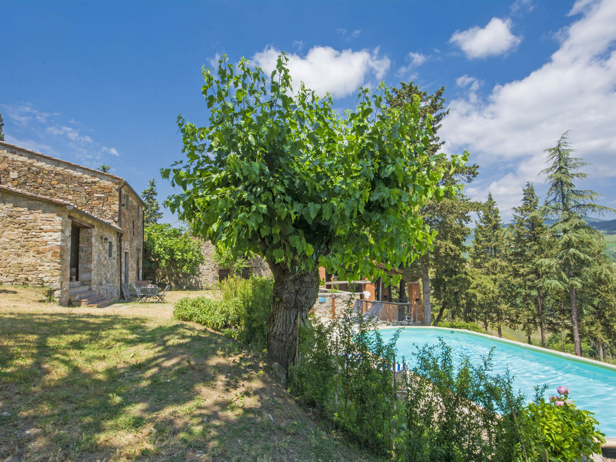 Le Bonatte - Gîte 7 chambres Radda in Chianti - Photo 23